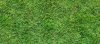 How to Remove Grass Stains